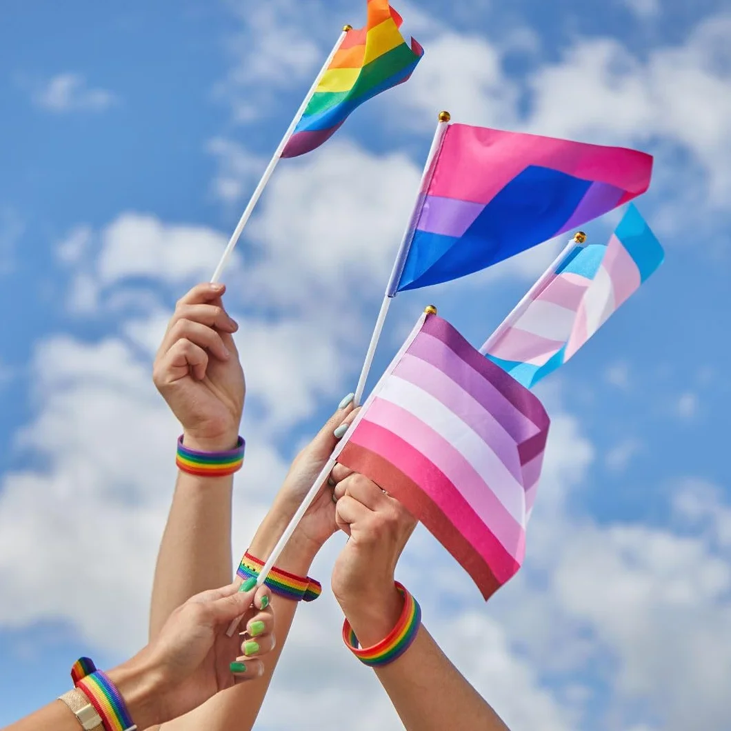 Runesol 12 sztuk ręcznych flag transpłciowych 14x21 cm mini flagi LGBTQ na patykach dekoracje imprezowe