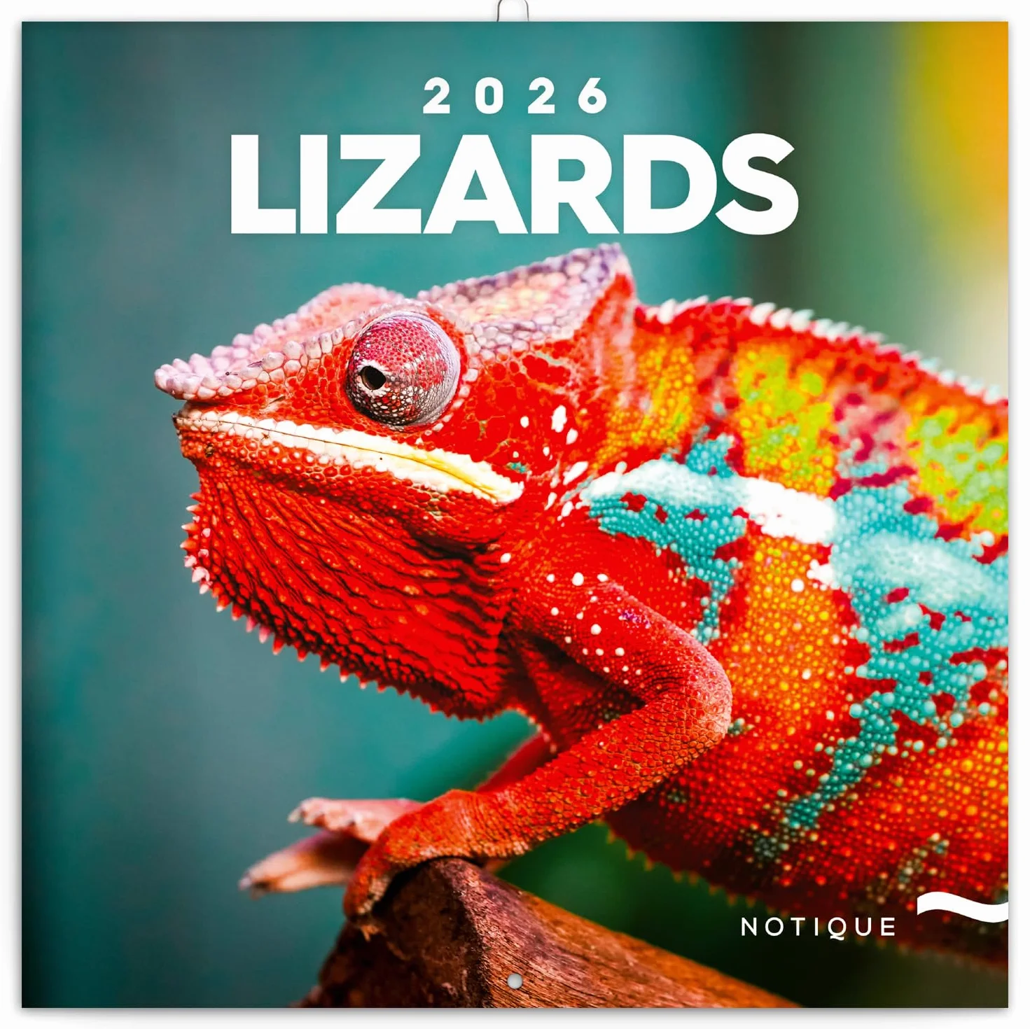 NOTIQUE Kalendarz ścienny 2026, kalendarz z jaszczurkami, kalendarz broszurowy z miesięcznym kalendarzem, kalendarz broszurowy 30 x 30 cm (otwarty 30 x 60 cm)