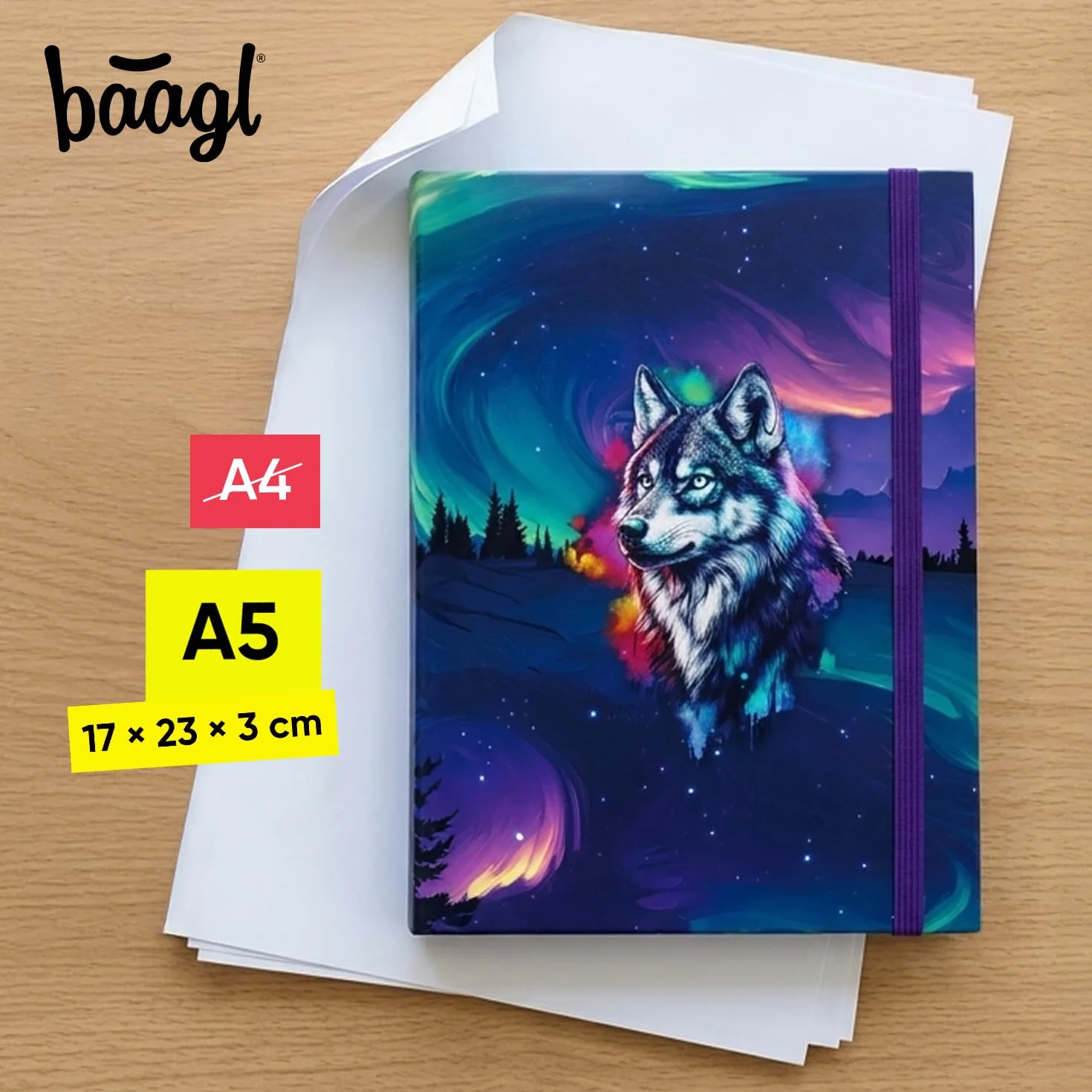 Baagl teczka szkolna do torebki - teczka A5 23x17 cm - dla dzieci z gumką i klapką wewnętrzną - teczka zbiorcza, pudełko zbiorcze z gumką dla chłopców (Axolotl)