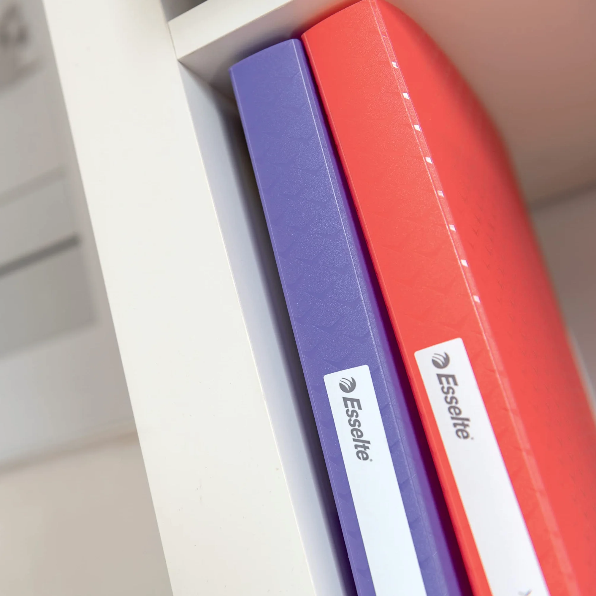 Esselte, Album Ofertowy z 60 Koszulkami A4 Esselte Colour'Breeze, 120 Kartek, do Domu/Biura, Prezentowanie i Przechowywanie Dokumentów, Wytłoczony Wzór, Kolor Niebieski, 626232
