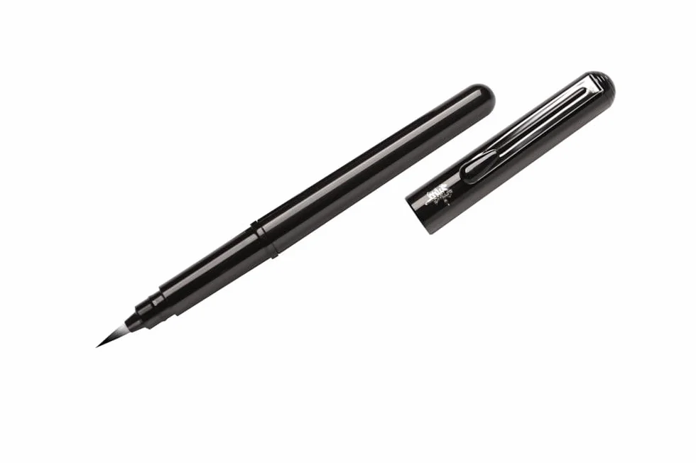 Pentel Kieszonkowy pędzelek pędzelkowy pędzel pigment do wielokrotnego napełniania czarny atrament 1 pinceau + 2 wkłady czarny