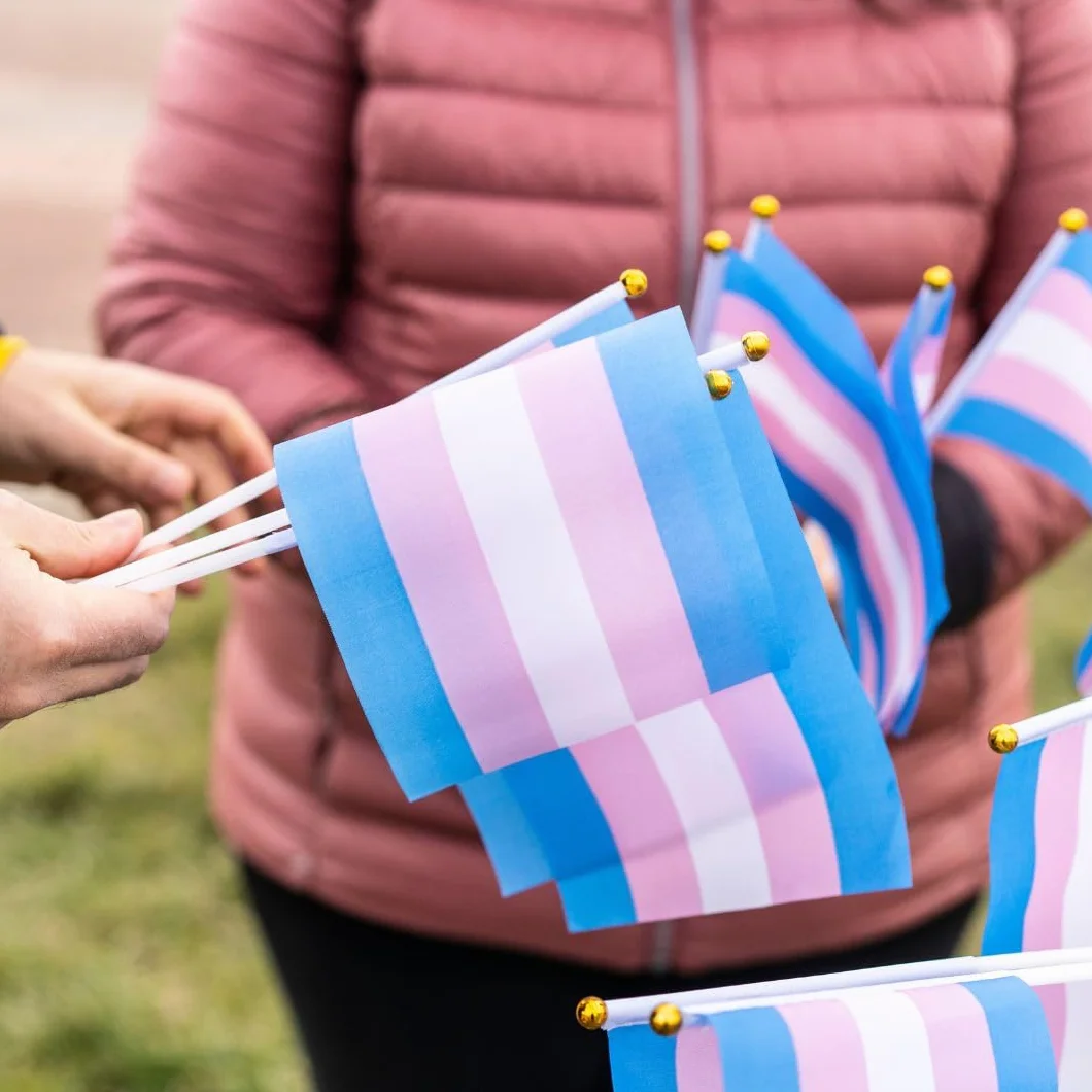 Runesol 12 sztuk ręcznych flag transpłciowych 14x21 cm mini flagi LGBTQ na patykach dekoracje imprezowe