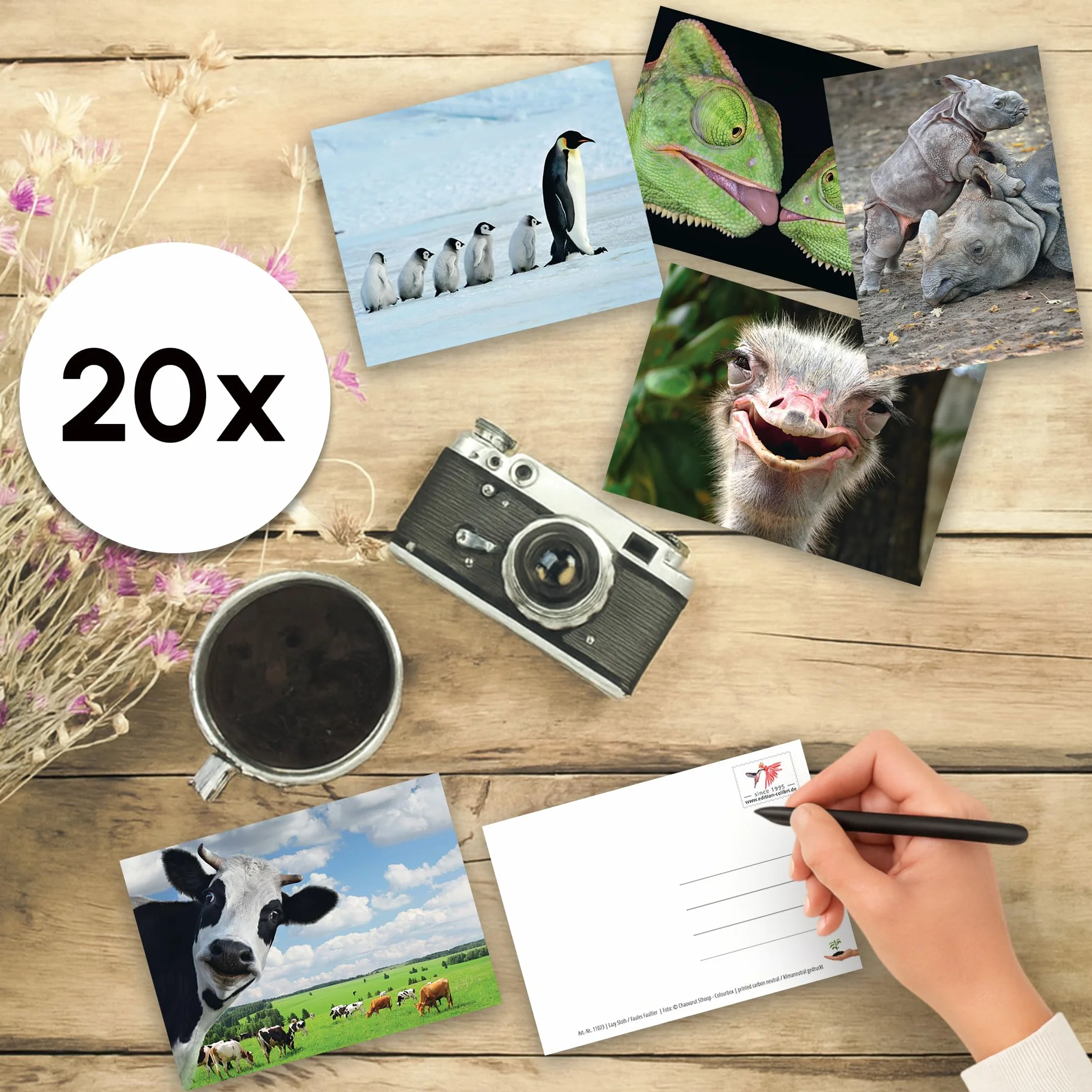 Edition Colibry Zestaw 20 kartek pocztowych Zwierzęta Postcrossing