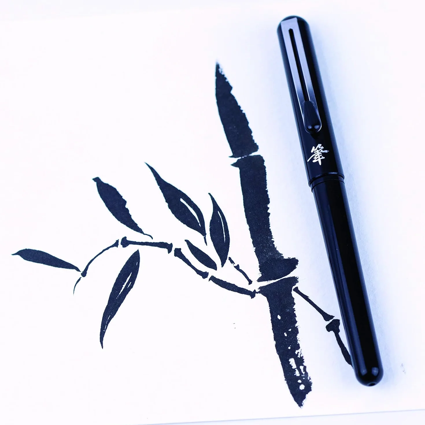 Pentel Kieszonkowy pędzelek pędzelkowy pędzel pigment do wielokrotnego napełniania czarny atrament 1 pinceau + 2 wkłady czarny