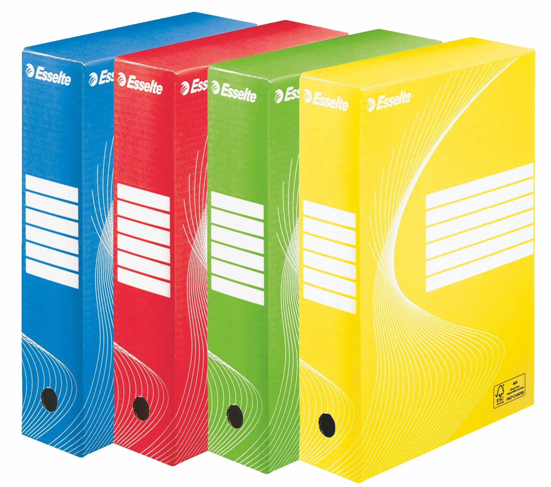 Esselte 128403 A4 standardowe pudełko do archiwizacji, wielokolorowe - 10 sztuk