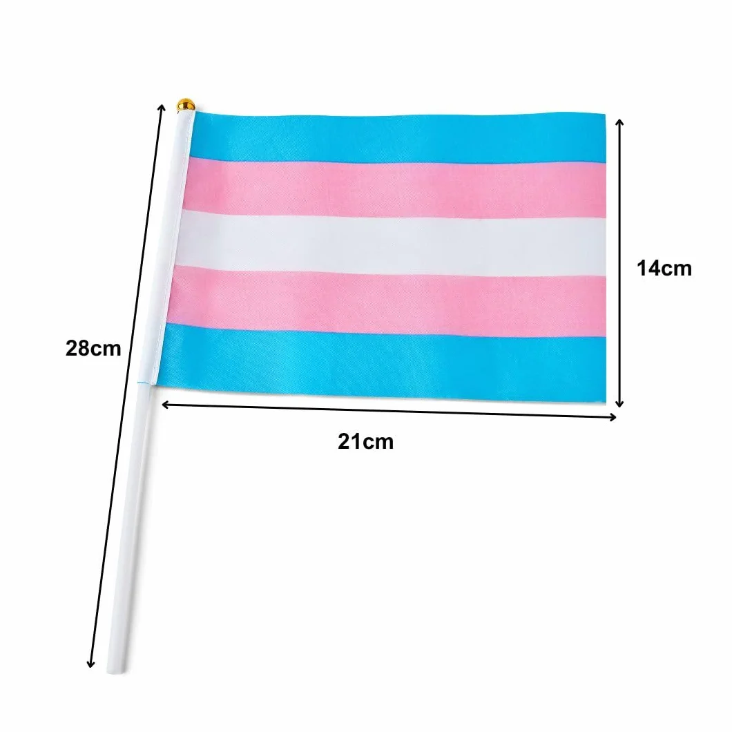 Runesol 12 sztuk ręcznych flag transpłciowych 14x21 cm mini flagi LGBTQ na patykach dekoracje imprezowe