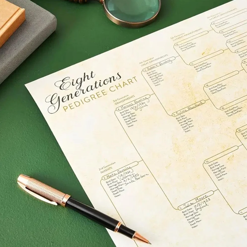 Wykres drzewa genealogicznego do wypełnienia, kompaktowy wykres rodowodowy 8 generacji, pusty wykres przodków do wypełnienia wykres genealogiczny, aby zbudować historię rodziny z dziećmi