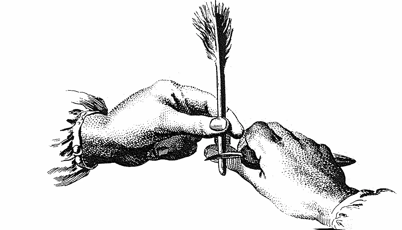 Brause 158007B – Stalówki kaligraficzne do obsadki – Pudełko 15 stalówek Bandzug 0,7 mm – Wyprodukowano w Niemczech
