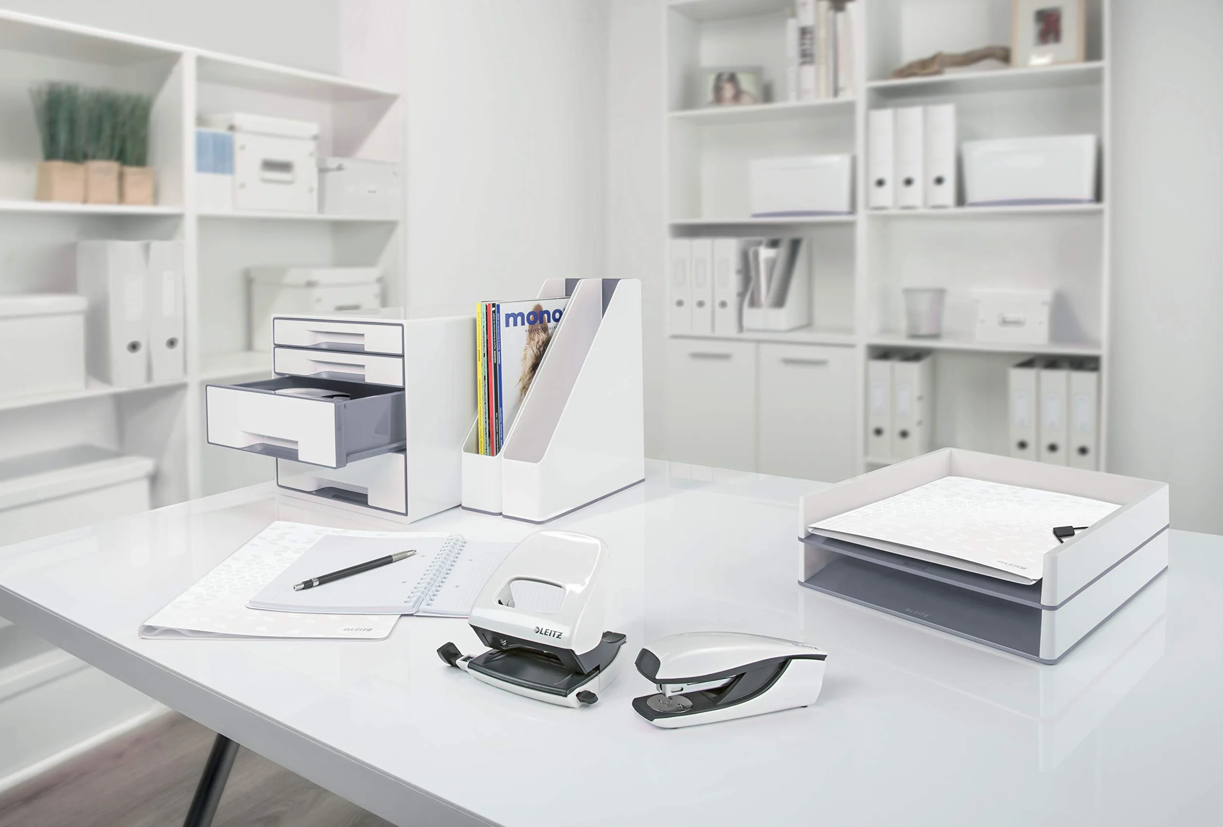 Leitz, Pudło z Przegródkami Leitz Click & Store, Małe, Kolekcja WOW, Kolor Biały, 60570001