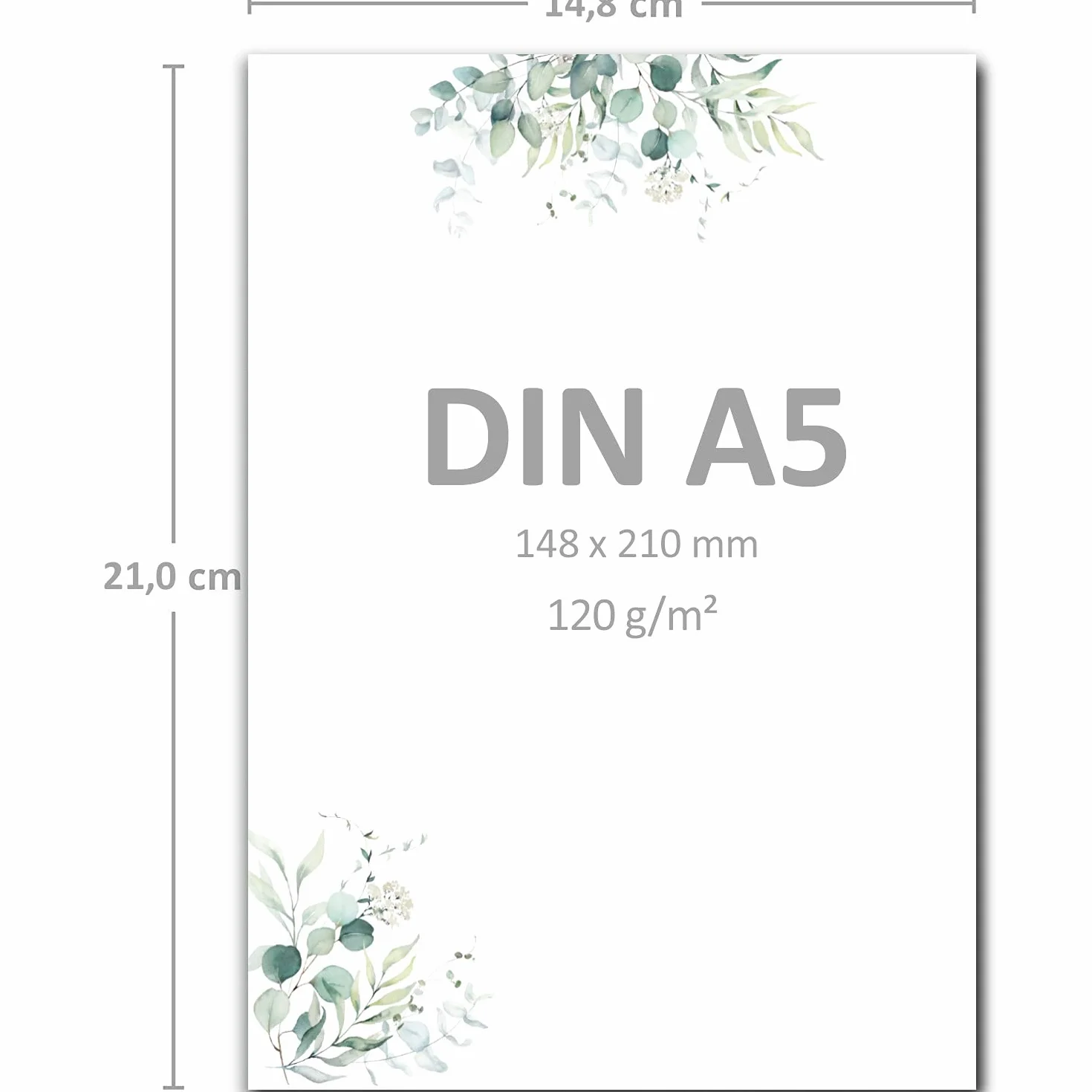 Zestaw 25 arkuszy papieru listowego DIN A5, naturalnych, kremowych z gałązkami eukaliptusa, wraz z kopertami DIN C6 w kolorze zielonym, nadają się do drukowania, doskonałe do zaproszeń ślubnych