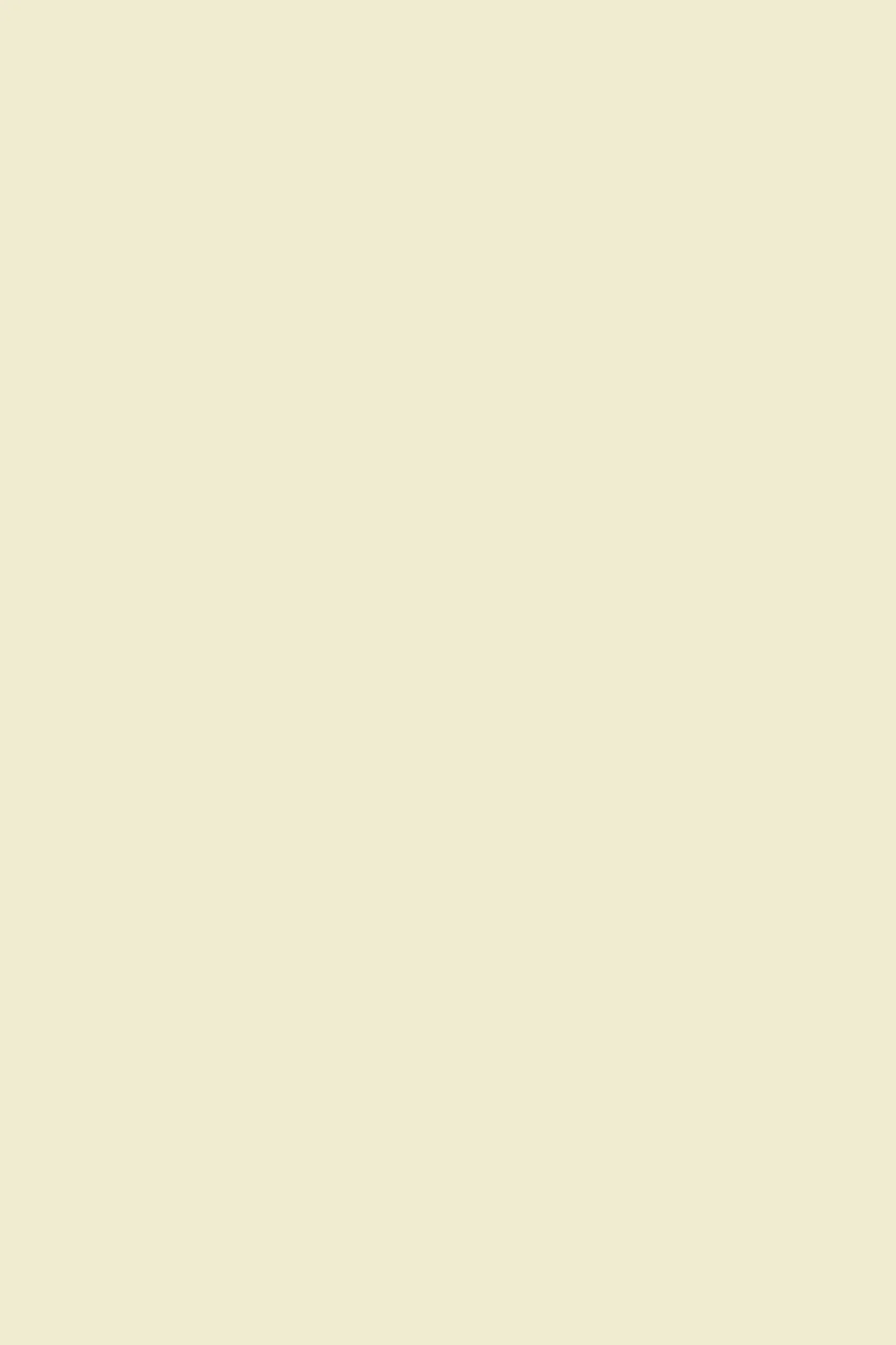 Lessebo Smooth Ivory Papier A4 100g 210x297mm Netuno 100 arkuszy