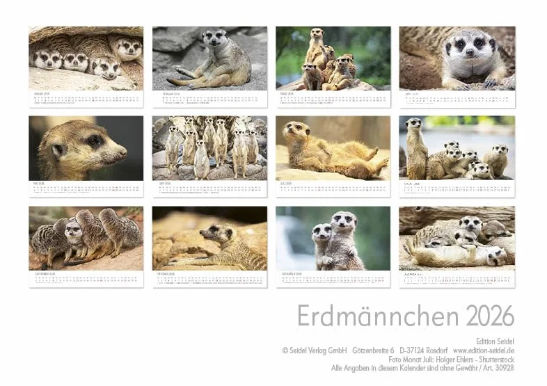 Edition Seidel Kalendarz premium surykatki na rok 2026, format DIN A5, kalendarz ścienny, kalendarz ze zwierzętami, Afryka, zoo, natura, paczka ssaków, dzikich zwierząt