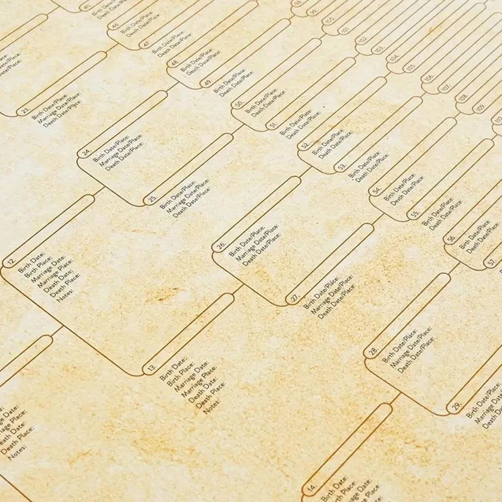 Wykres drzewa genealogicznego do wypełnienia, kompaktowy wykres rodowodowy 8 generacji, pusty wykres przodków do wypełnienia wykres genealogiczny, aby zbudować historię rodziny z dziećmi