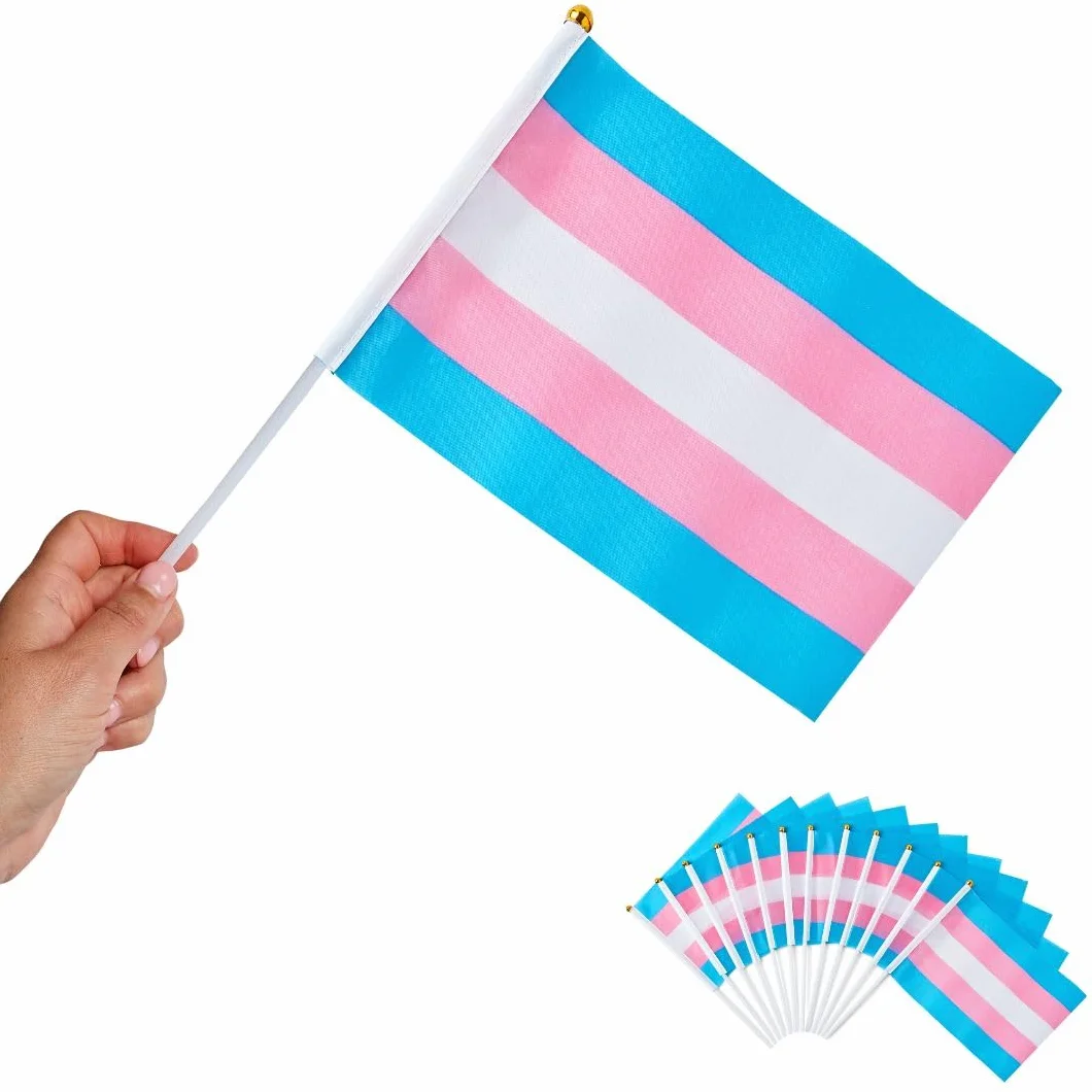 Runesol 12 sztuk ręcznych flag transpłciowych 14x21 cm mini flagi LGBTQ na patykach dekoracje imprezowe