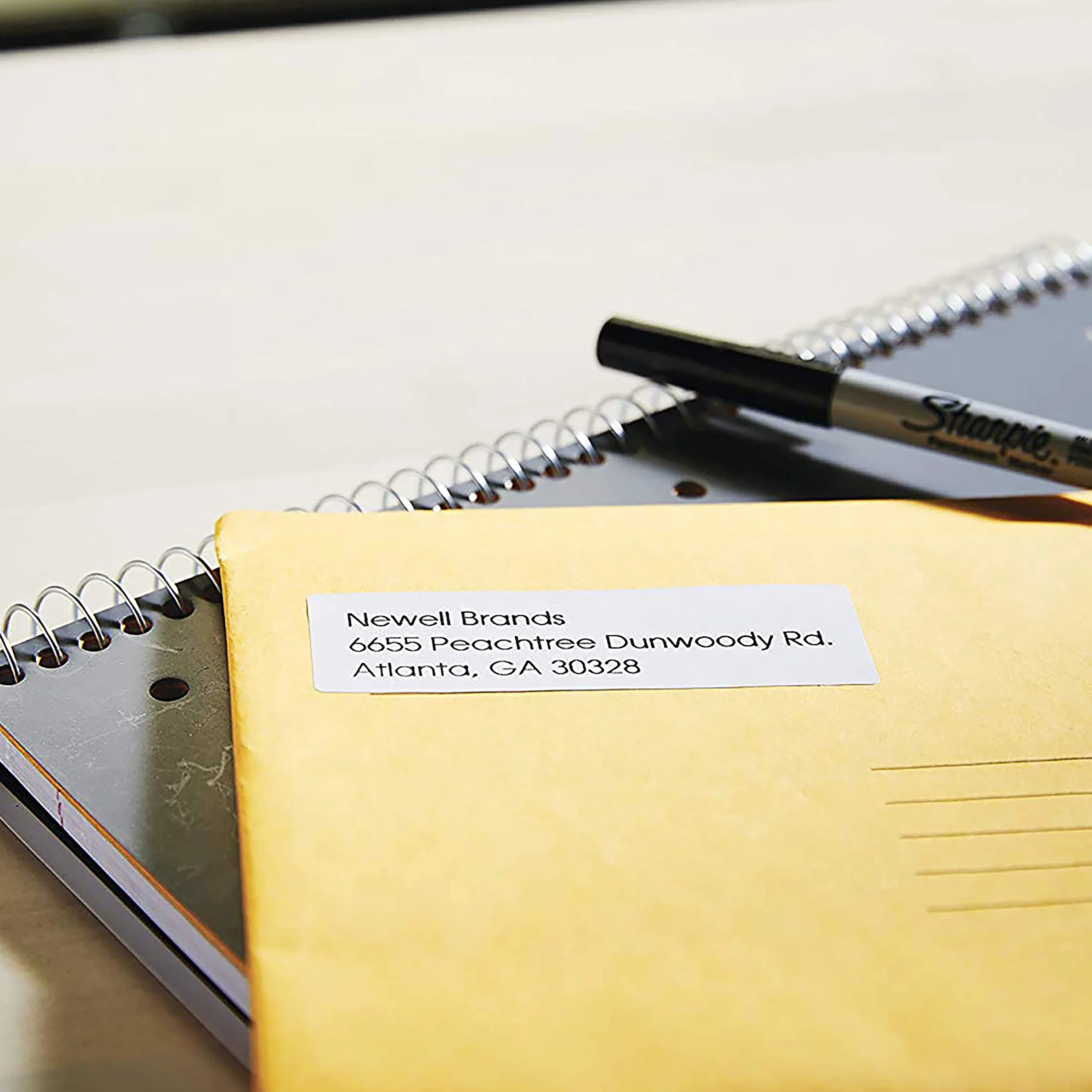 Oryginalne etykiety z adresem zwrotnym DYMO LabelWriter | 25 mm x 54 mm | Samoprzylepne | 6 rolek po 500 etykiet Easy-Peel (3000 sztuk) | do drukarek etykiet LabelWriter | Wyprodukowano w Europie
