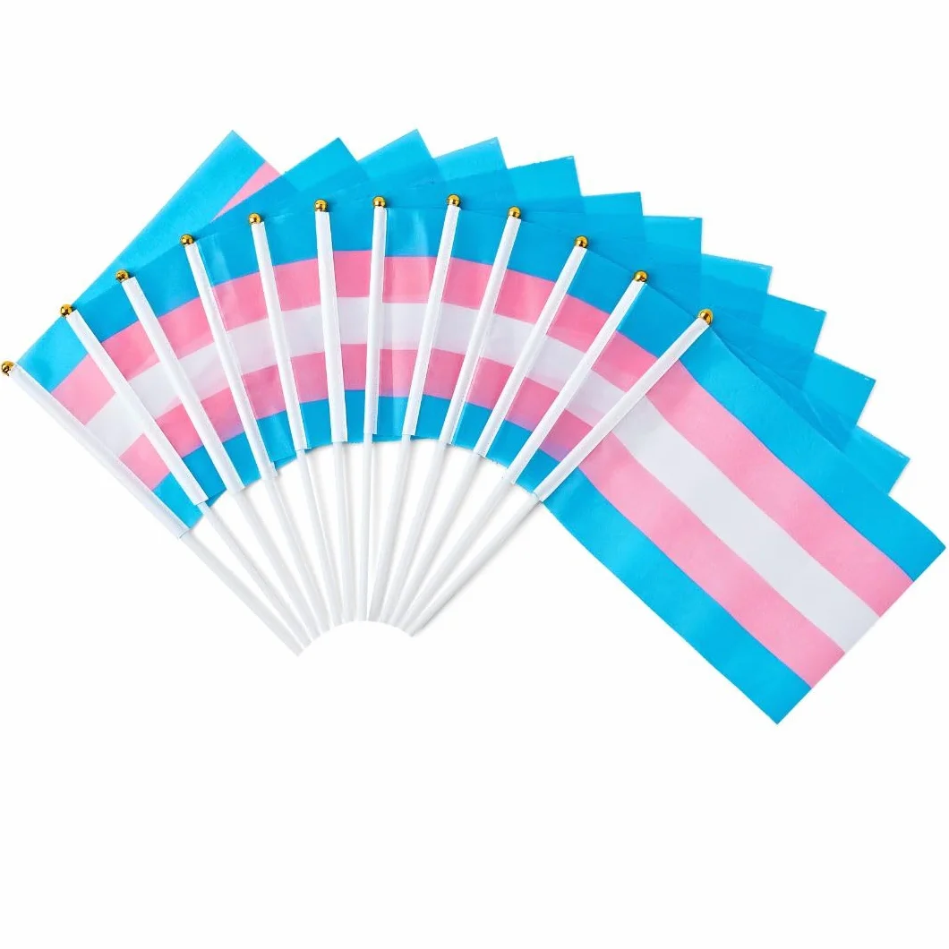 Runesol 12 sztuk ręcznych flag transpłciowych 14x21 cm mini flagi LGBTQ na patykach dekoracje imprezowe