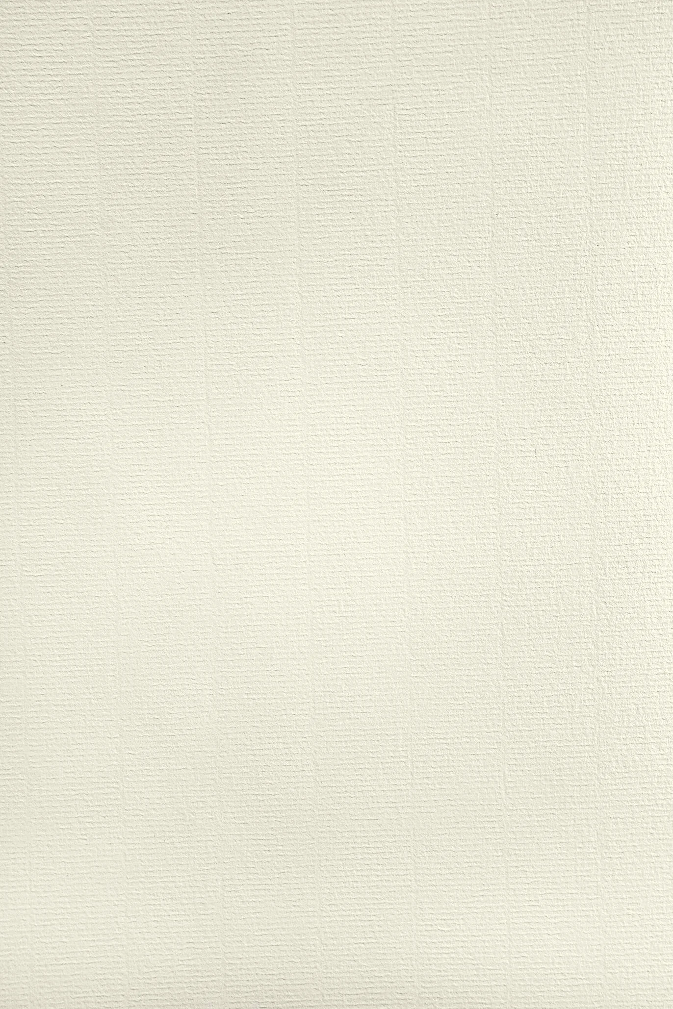 Aster Laid Ivory papier żebrowany A4 120 g kolor kości słoniowej 297 x 210 mm