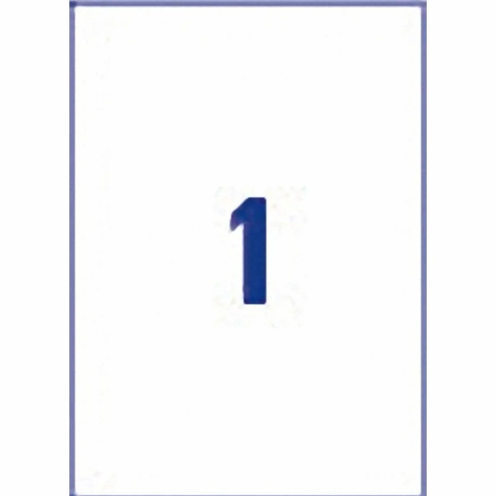 Etykieta uniwersalna Avery-Zweckform L4775-20