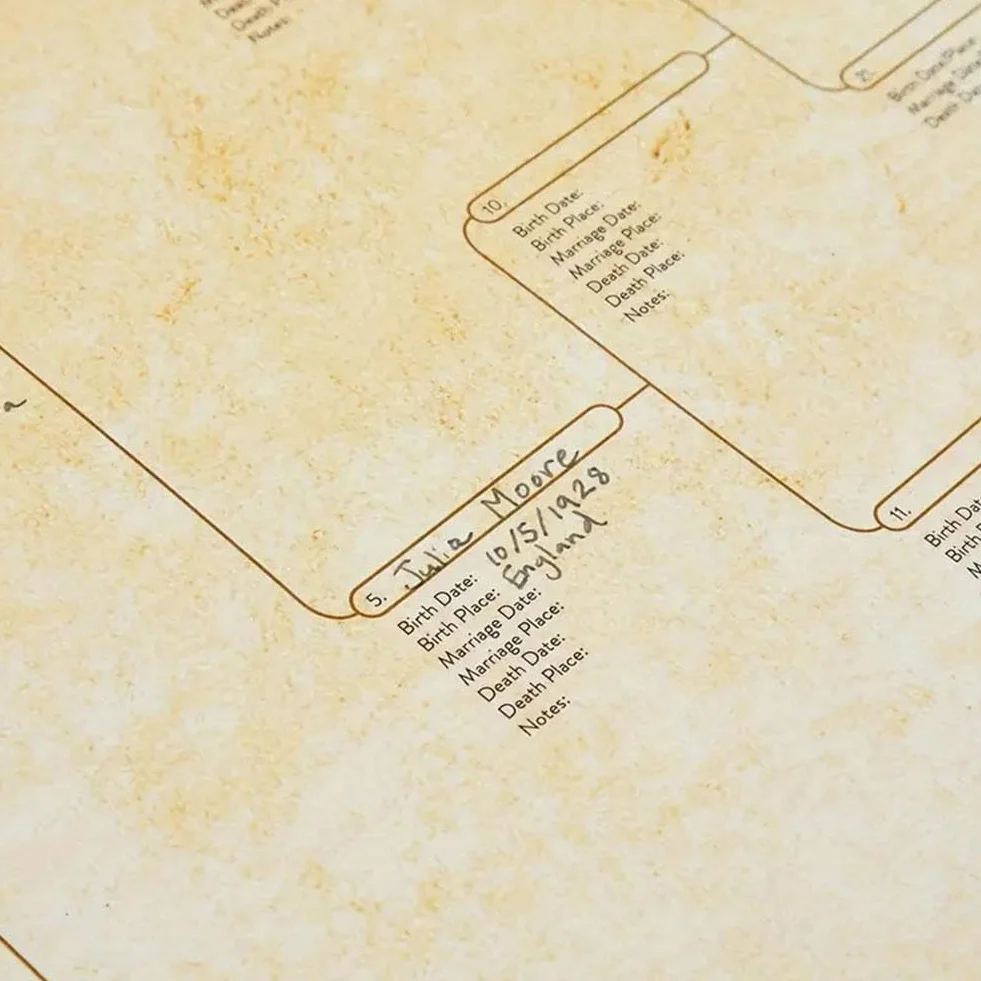 Wykres drzewa genealogicznego do wypełnienia, kompaktowy wykres rodowodowy 8 generacji, pusty wykres przodków do wypełnienia wykres genealogiczny, aby zbudować historię rodziny z dziećmi