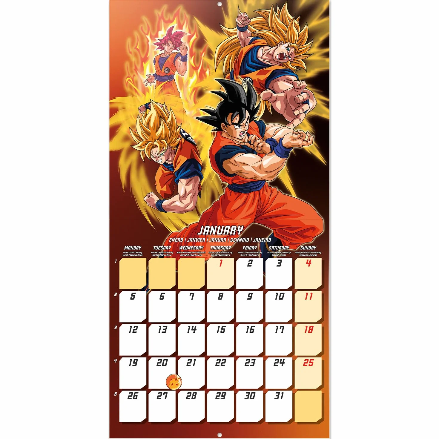 Grupo Erik Dragon Ball Wall Calendar 2026 - Square 30 x 30 cm, Family Planner Month To View
