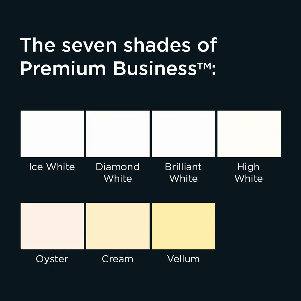 Blake Premium Business 61676 papier kremowy, 210 x 297 mm, 120 g/m², opakowanie 500 szt