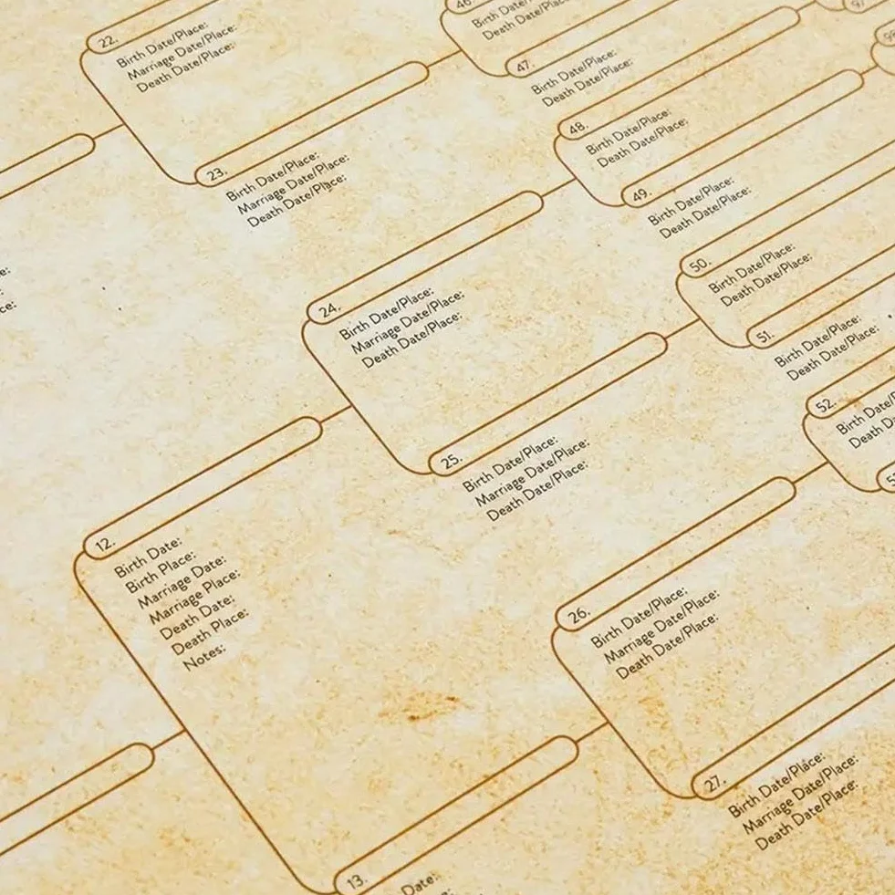 Wykres drzewa genealogicznego do wypełnienia, kompaktowy wykres rodowodowy 8 generacji, pusty wykres przodków do wypełnienia wykres genealogiczny, aby zbudować historię rodziny z dziećmi