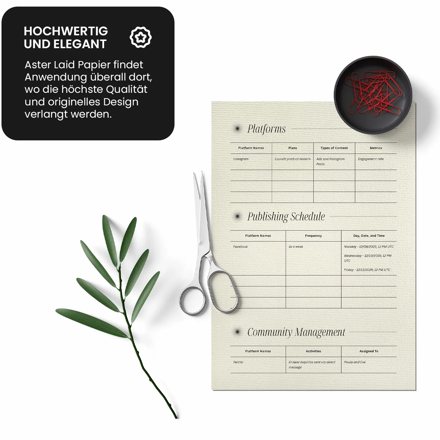 Aster Laid Ivory papier żebrowany A4 120 g kolor kości słoniowej 297 x 210 mm