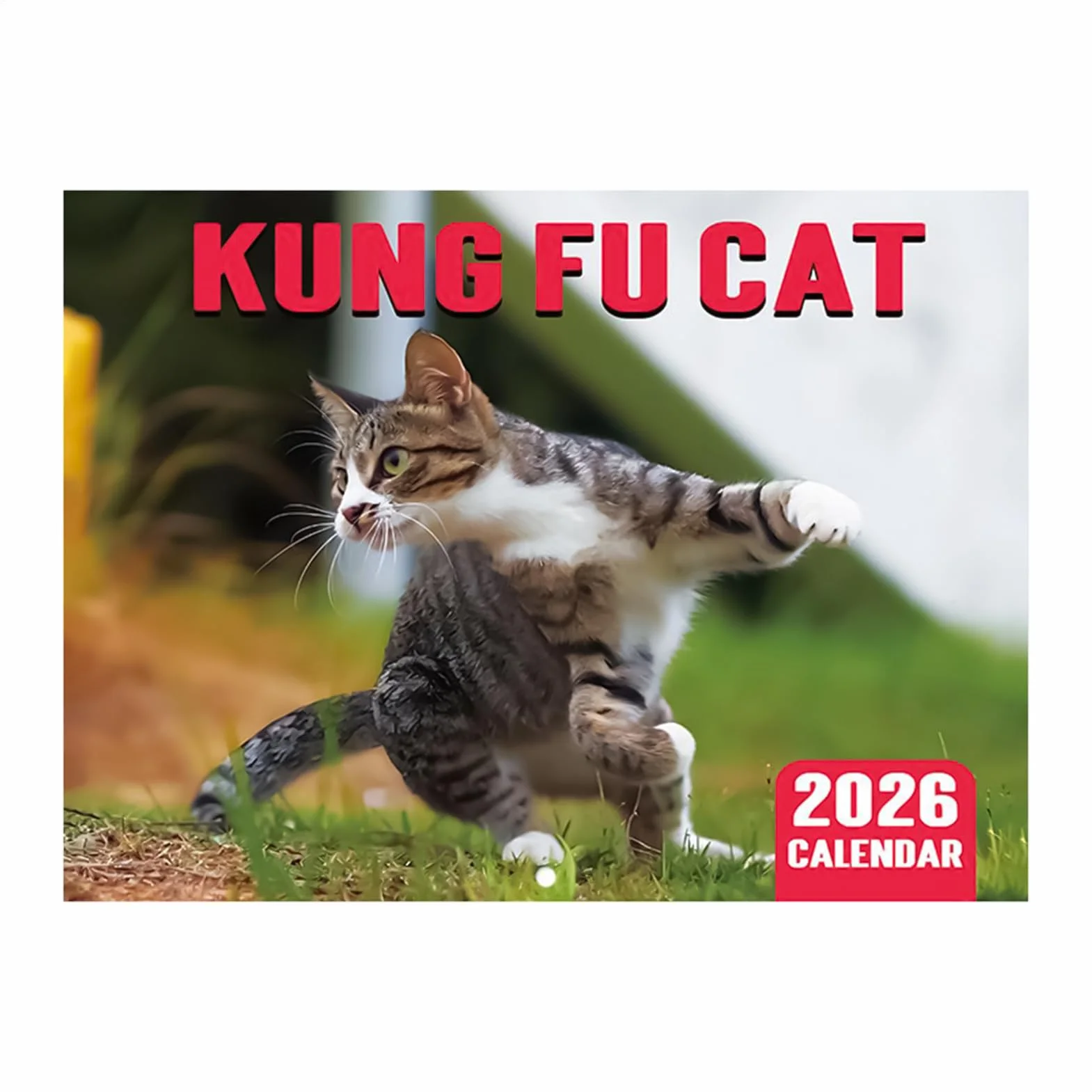 Kalendarz ścienny z kotem Kung Fu 2026 – zabawny kalendarz miesięczny styczeń-grudzień