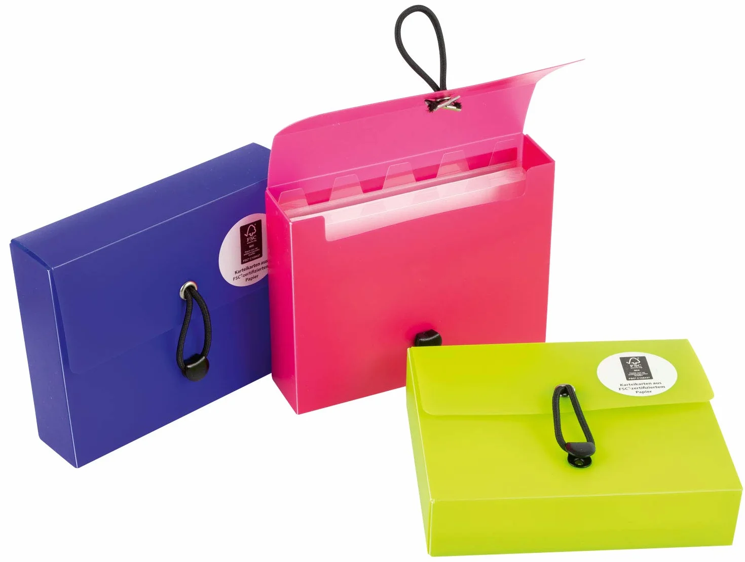 Stylex 49100 pudełko na fiszki DIN A7, 5 przegródek, 100 kartek w linie FSC, 6 kolorów