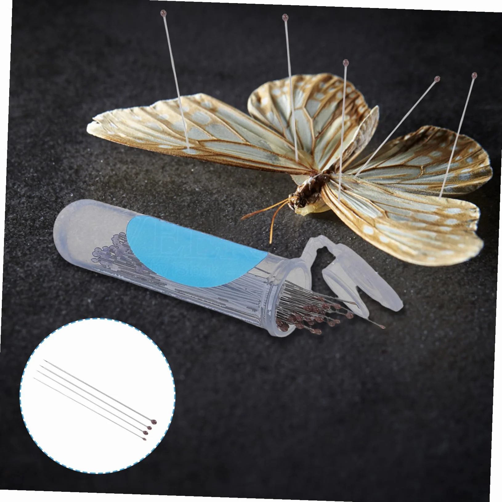 OUNONA 300 Szt. Stainless Steel Insect Pins Set Butterfly Mounting Needles for Entomology Specimen Making School Laboratory Bug Pinning Supplies for Group And Personal Use