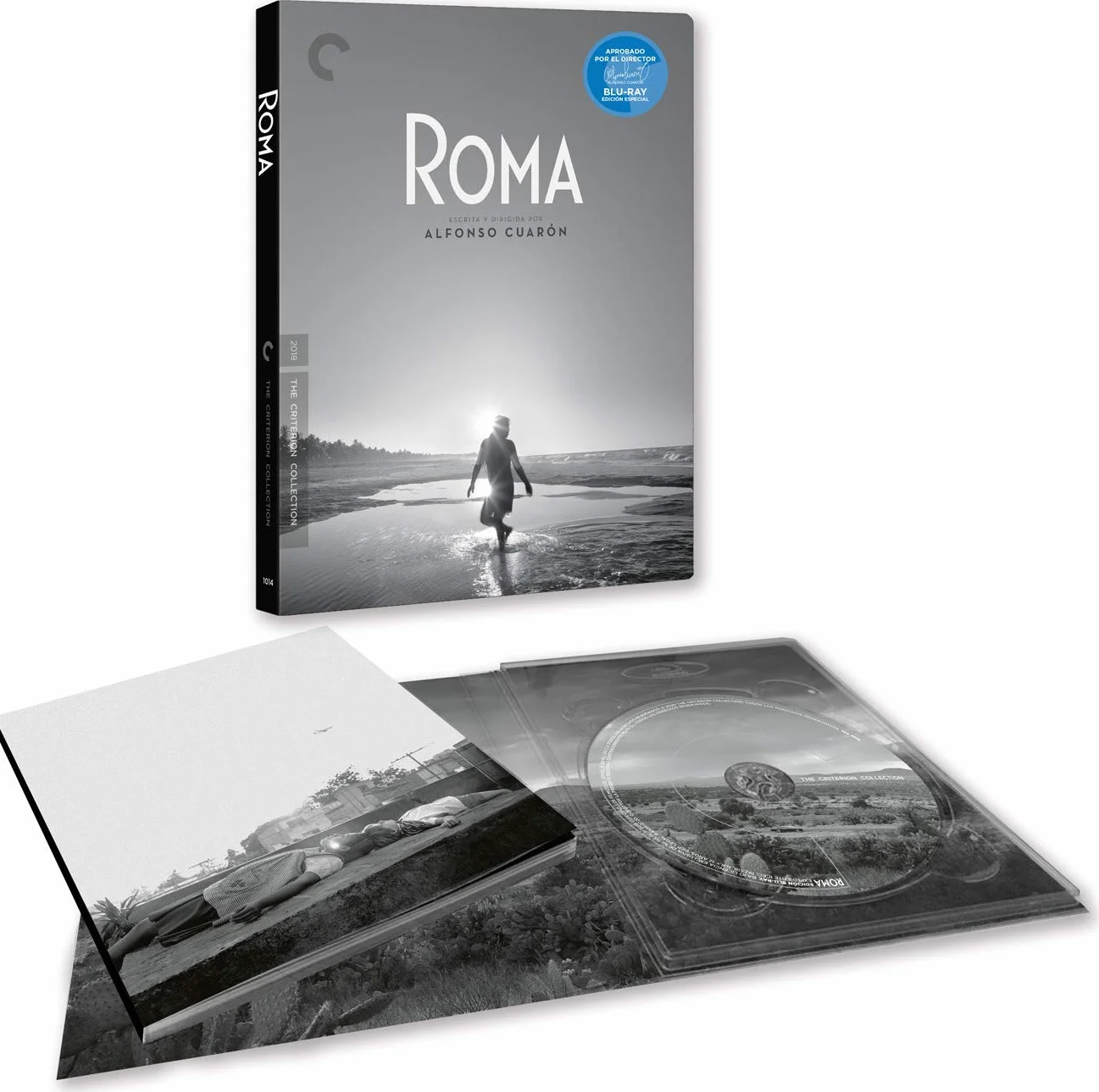 Roma