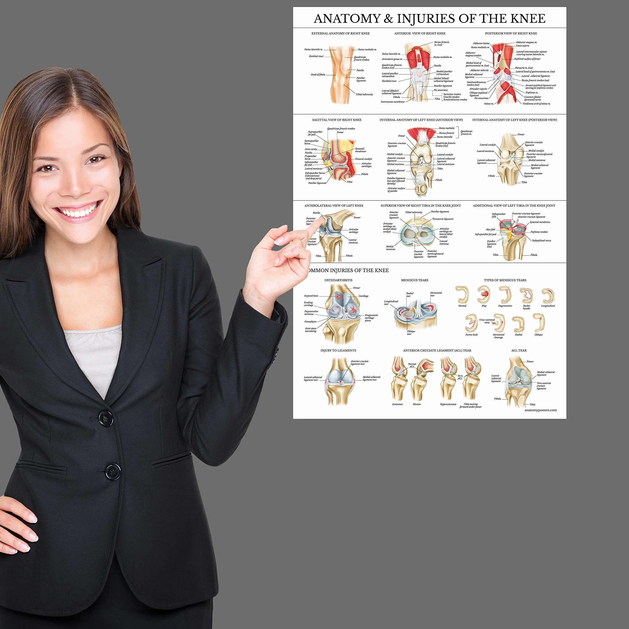 Palace Learning Zestaw 2 plakatów anatomia kolana i ramion – wykresy anatomiczne laminowany 45 cm x 61 cm