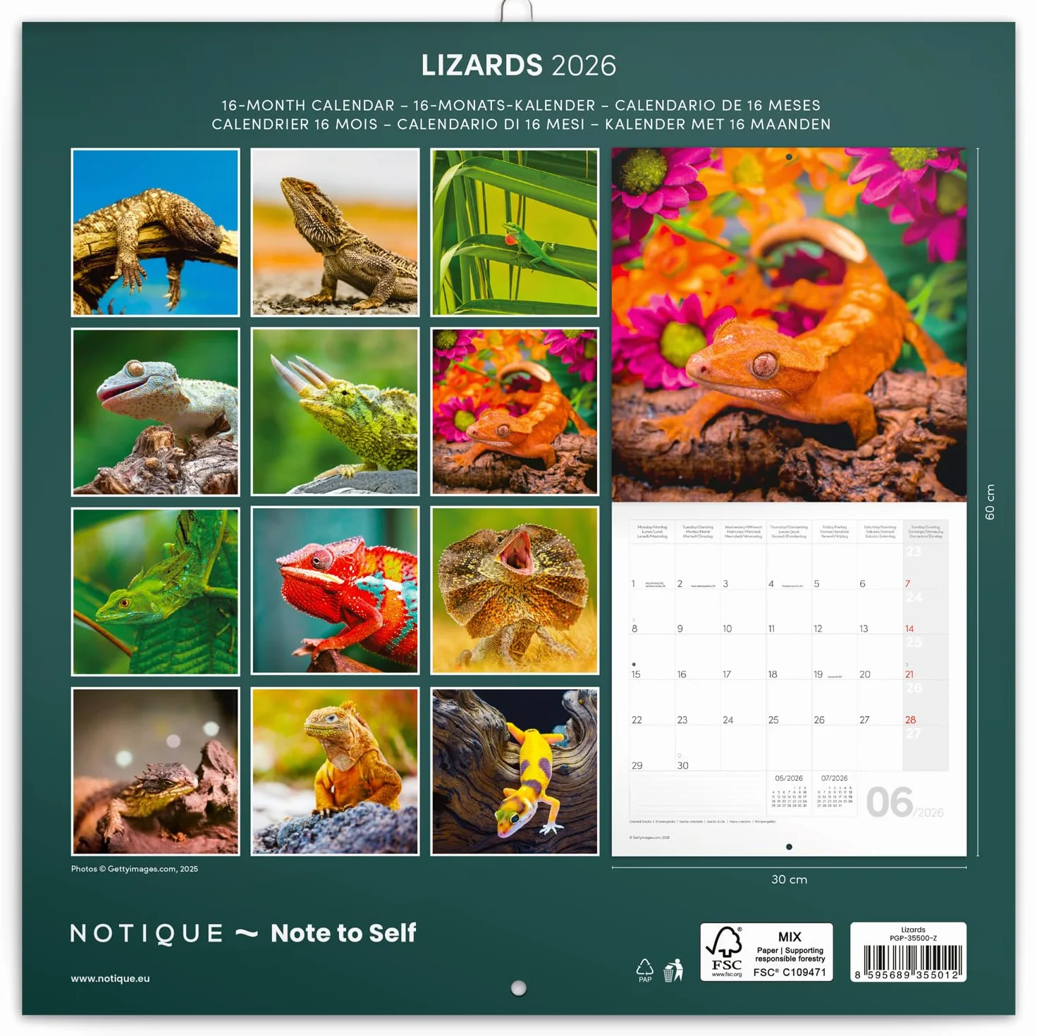 NOTIQUE Kalendarz ścienny 2026, kalendarz z jaszczurkami, kalendarz broszurowy z miesięcznym kalendarzem, kalendarz broszurowy 30 x 30 cm (otwarty 30 x 60 cm)