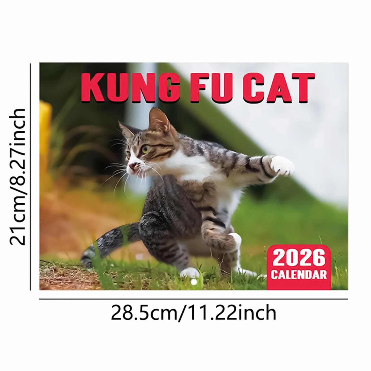 Kalendarz ścienny z kotem Kung Fu 2026 – zabawny kalendarz miesięczny styczeń-grudzień