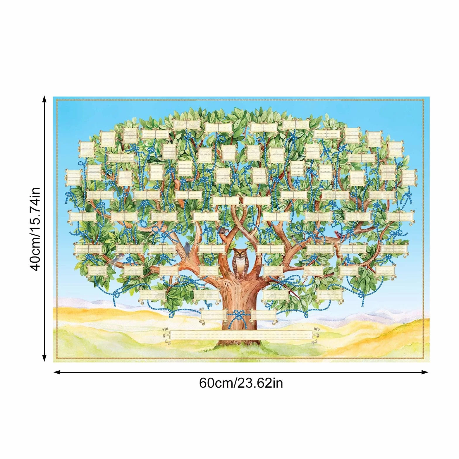 40x60 cm Wykres Drzewa Genealogicznego do Wypełnienia 6 Pokoleń Genealogii - Plakat Drzewa Genealogicznego - Szablon Drzewa Genealogicznego - Puste Wypełnialne Diagram Drzewa Genealogicznego, Sztuka